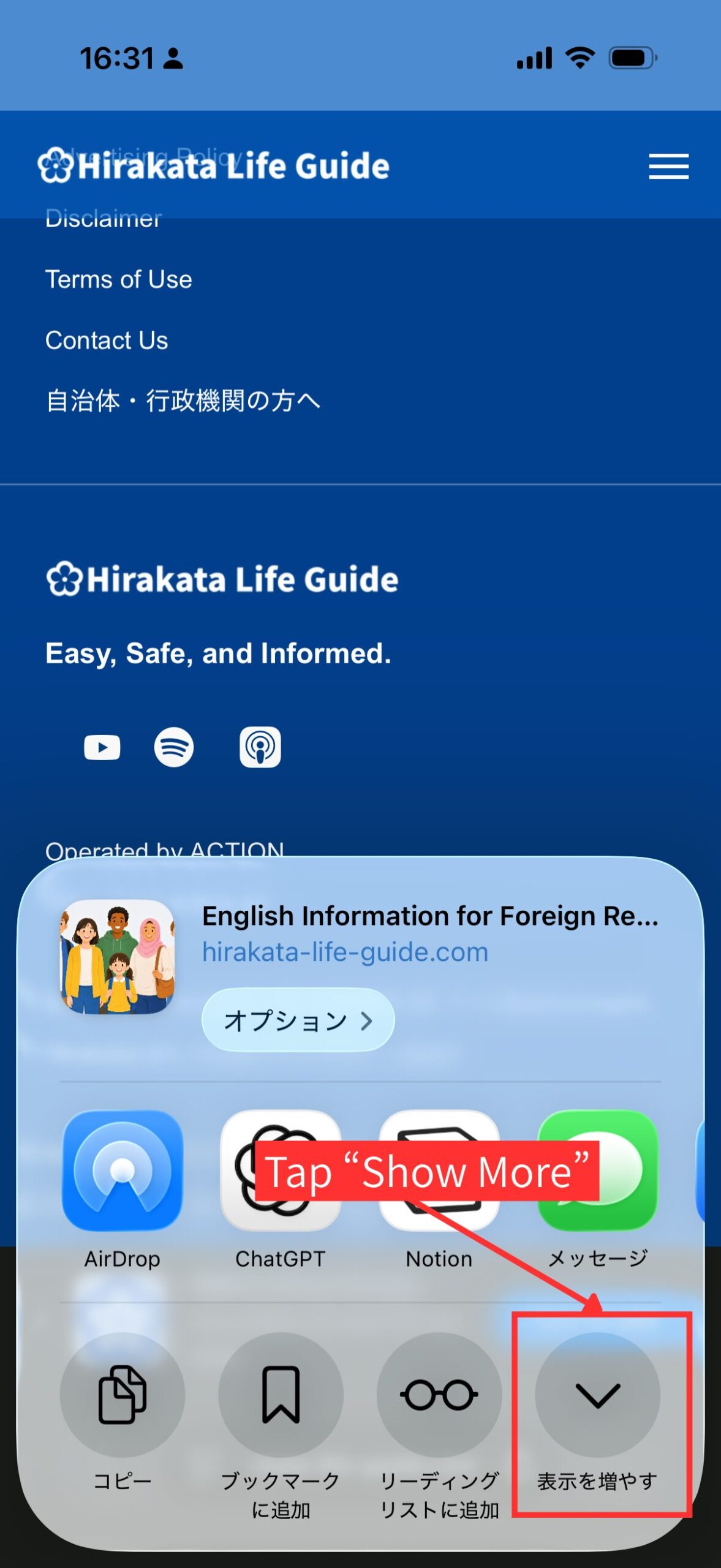 Screenshot showing the Show More button in the iPhone share menu.
